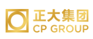 博望正大集团